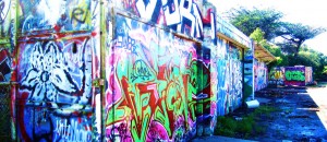 san-francisco-0142