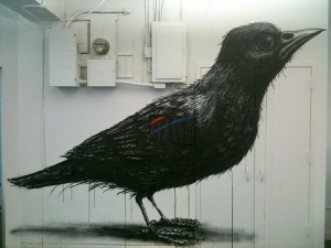 ROA Bird Surprise