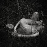 http://www.jessicatremp.com/ http://www.jessicatremp.com/