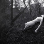 http://www.jessicatremp.com/ http://www.jessicatremp.com/