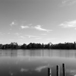 IMG_1191 IMG_1191