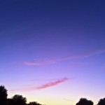 IMG_1201 IMG_1201