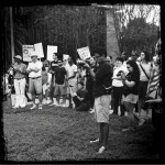 IMG_1246 IMG_1246