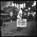 IMG_1247 IMG_1247