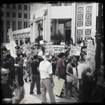 IMG_1349 IMG_1349