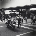 IMG_1372 IMG_1372