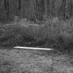 DSC_0077 DSC_0077